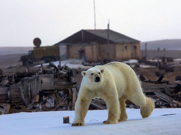 В объективе фотографии National Geographic Россия (Фото)