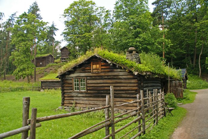 Зеленые крыши в Норвегии (Фото)