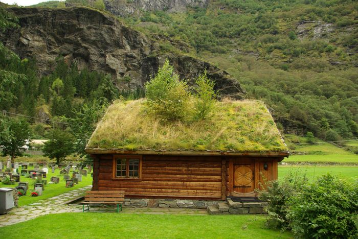 Зеленые крыши в Норвегии (Фото)
