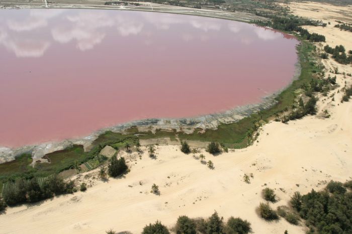 Розовое озеро Хиллер