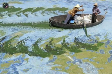 Китайские экологи бьют тревогу (Фото)