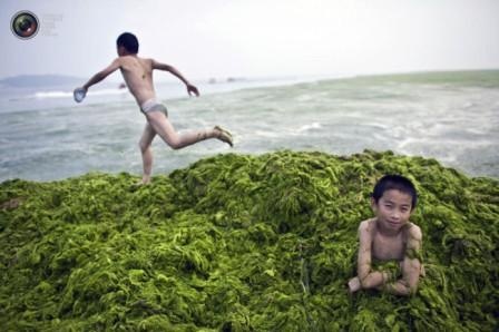 Китайские экологи бьют тревогу (Фото)