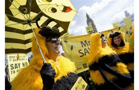 Евросоюз защищает пчел от пестицидов