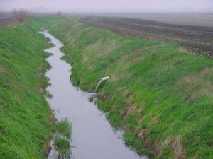 Восстановление водно-болотных угодий для уменьшения наводнений и сохранения урожая