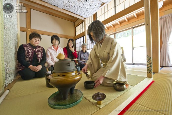 Чайный мир Сидзуоки (15 фото)