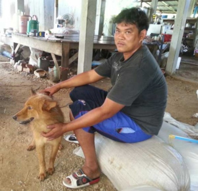 В Таиланде собака спасла выброшенного на свалку младенца