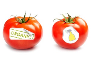 10 преимуществ органических продуктов