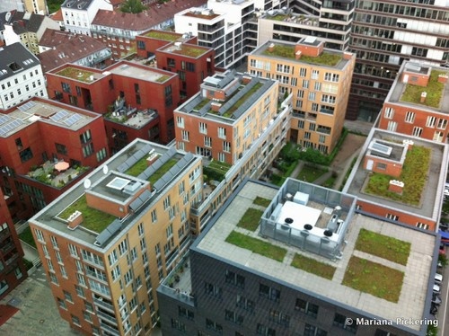 6 мифов о зеленых крышах