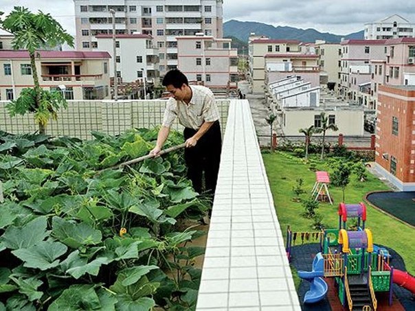 Сады на крышах