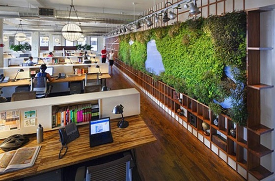 Самый зеленый офис в Нью-Йорке - уменьшенная копия Манхэттена