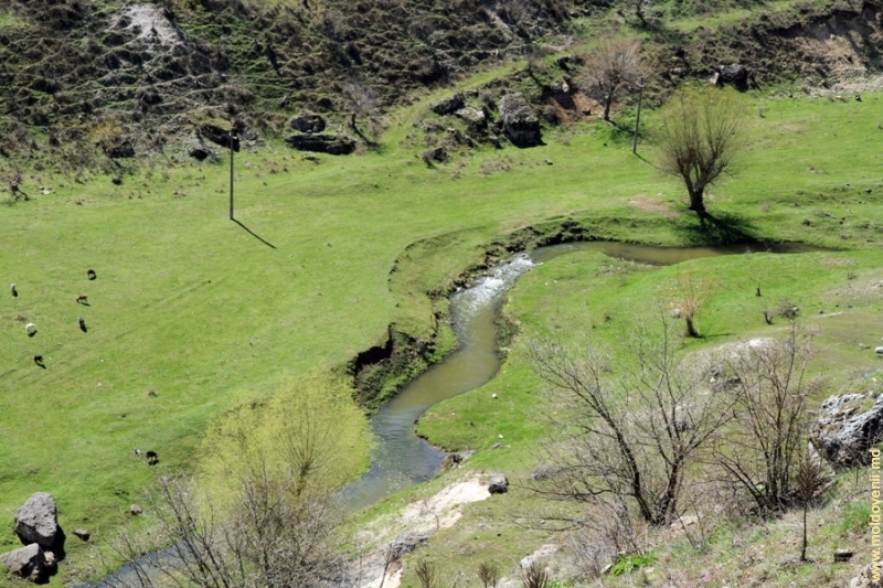 Долина реки Чoрна в Большом ущелье