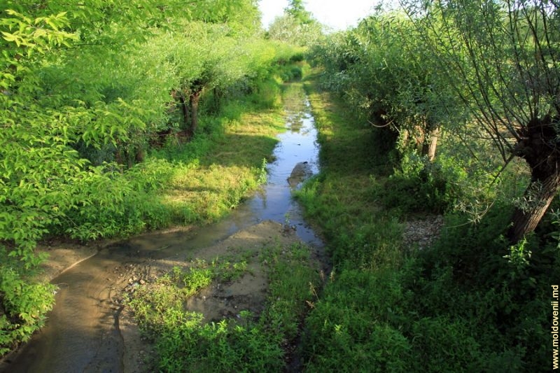 Река Когыльник