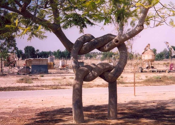 Дерево-узел