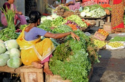 Северо-восток Индии био-продукты