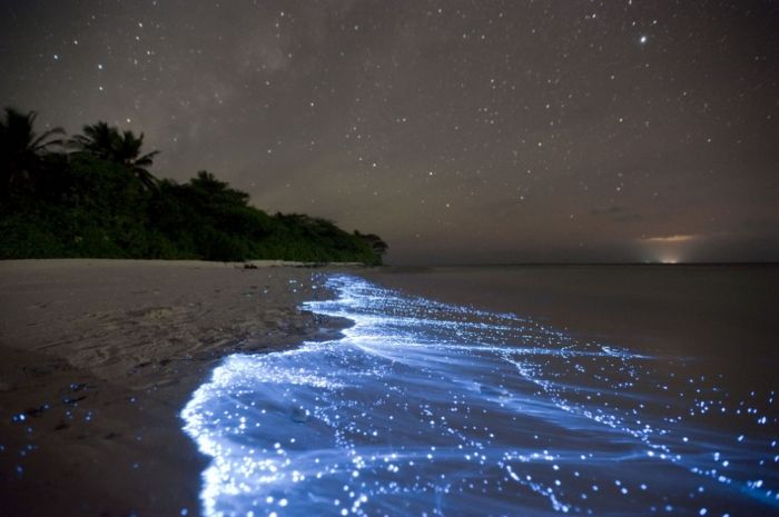 Море звезд на острове Ваду, Мальдивы
