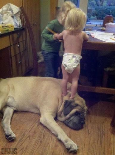 Ребенок и его собака