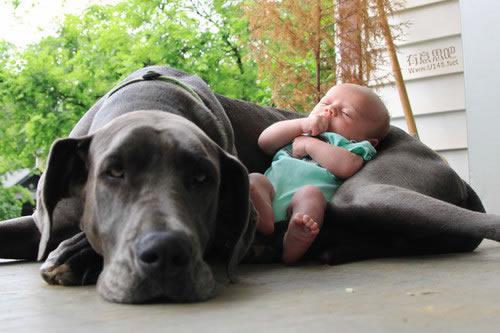 Ребенок и его собака