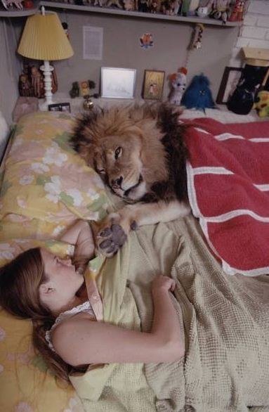 лев и человек