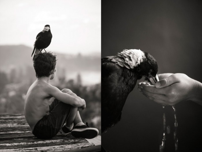 Дружба человека и птицы