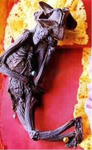 Загадка мумий «Тайских Древесных Людей»