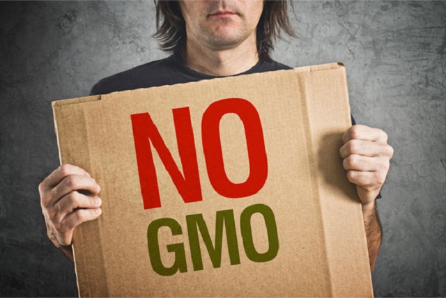 Германия полностью запретила ГМО
