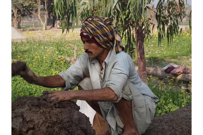 Проект Earth Home: как в Пакистане строят дома из глины, соломы, извести и бамбука