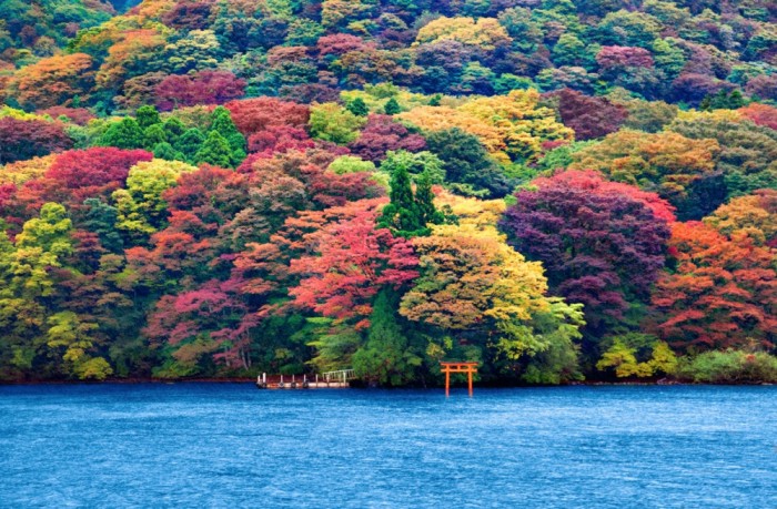 20 мест, где осень невероятно прекрасна