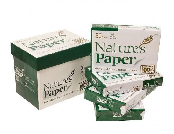Из чего делают экологичную бумагу