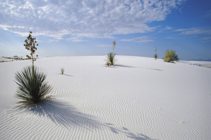 Фарфоровая пустыня White Sands. США