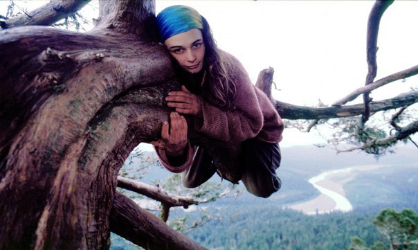 Девушка прожила два года на дереве, чтобы защитить его