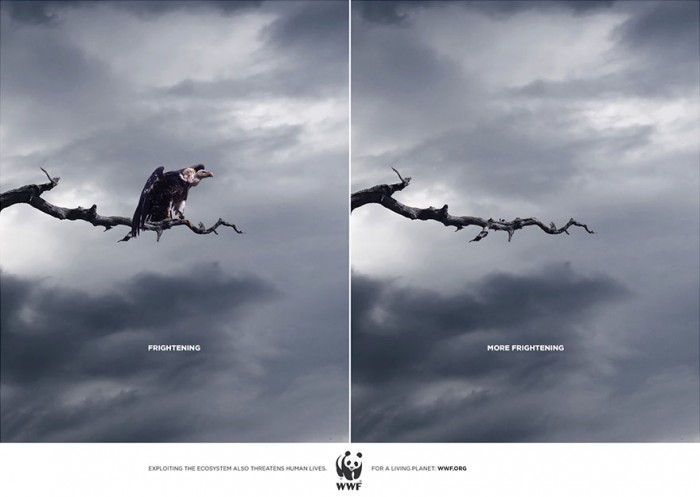 Очень мощные рекламные кампании о животных, открывающие жестокую правду 