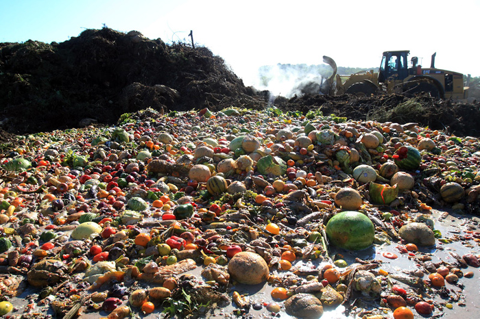 За год население Земли выбросило в мусор 1,3 млрд тонн еды