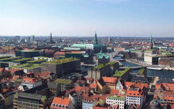 Обязательные зеленые крыши в Копенгагене