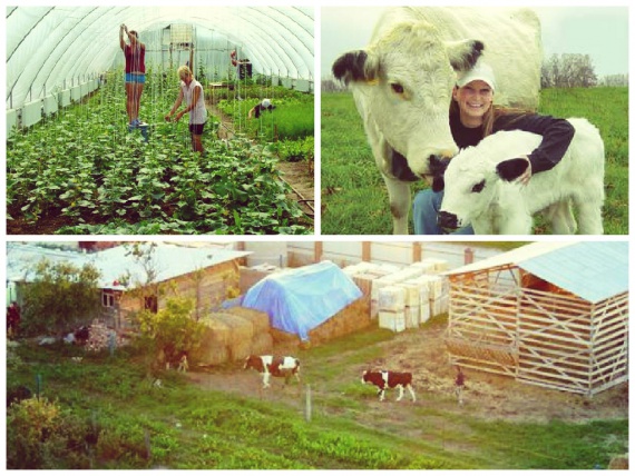 20 органических ферм и производителей органик продукции на Украине
