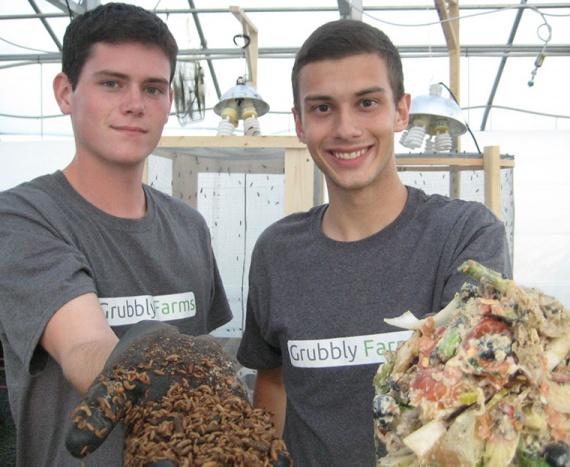 Grubbly Farm - личинки на пути переработки пищевых отходов 