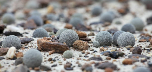 Остров Чамп (Земля Франца-Иосифа)- таинственные каменные шары - следы Гипербореи?