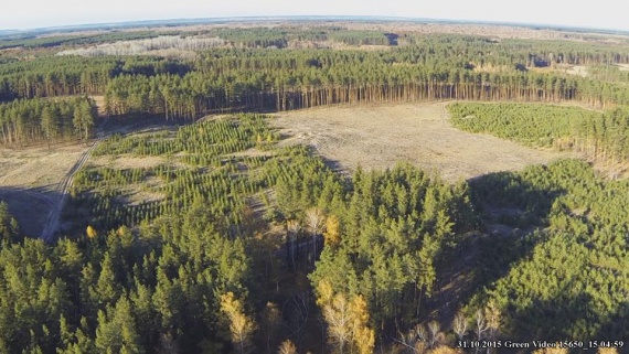 Как выглядит фрагментальная вырубка лесов из квадрокоптера