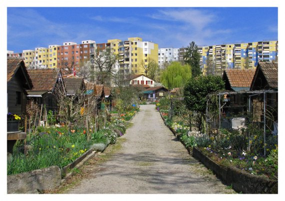 Город, где каждый житель имеет собственный сад