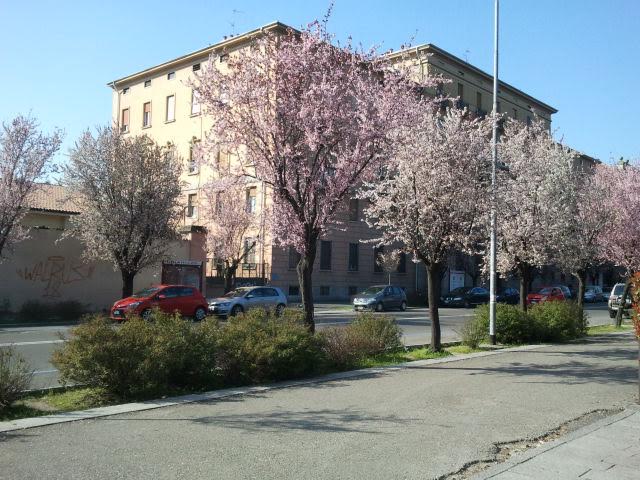 Весна в Италии. Для тех, кому немного мало весны – фотоотчет