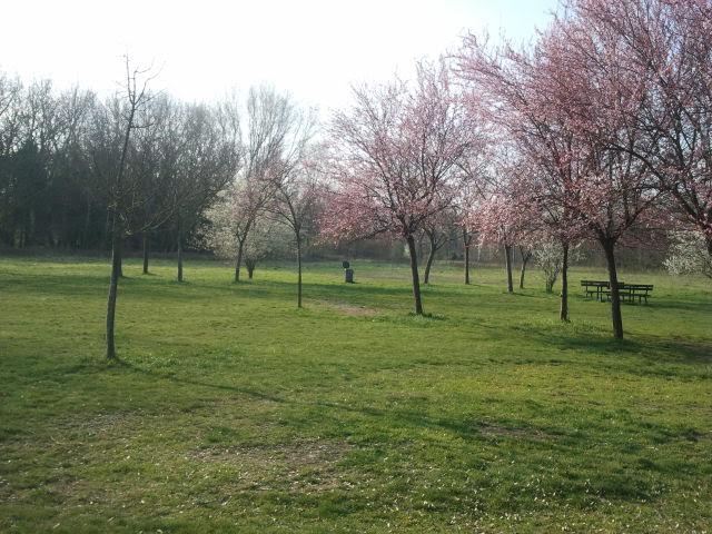 Весна в Италии. Для тех, кому немного мало весны – фотоотчет