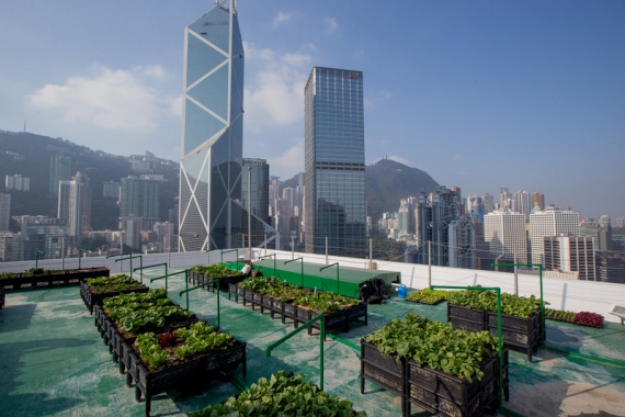 Невероятные городские фермы Гонконга