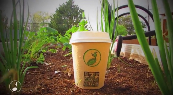 Plantable Coffee Cup - биоразлаемые стаканчики с семенами растений