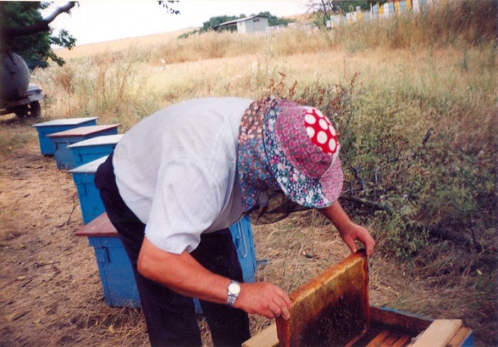 Dragi cititori! Recent am fost în ospeţie la un apicultor cu experienţă de 50 de ani, Grigori Cernov, pe care l-am rugat să ne împărtăşească din secretele apiculturii.