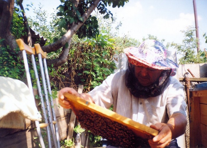 Dragi cititori! Recent am fost în ospeţie la un apicultor cu experienţă de 50 de ani, Grigori Cernov, pe care l-am rugat să ne împărtăşească din secretele apiculturii.