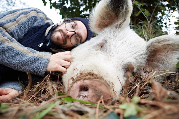 În suburbia orașului Pisa este o fermă deosebită, unde pe o suprafață de 4 hectare, în libertate absolută, trăiesc circa 80 de animale, salvate de la abator. Unele dintre ele trebuia să se afle în robie veșnică a circului, angajaților hipodromurilor, sau să fie pe post de cobai.