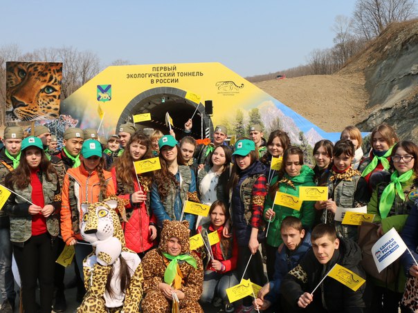 Первый в России экологический тоннель, необходимый для сохранения путей миграции дальневосточных леопардов