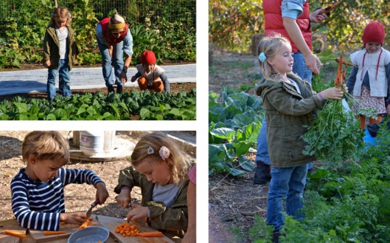В Сан-Франциско появится школа-ферма, где горожан научат выращивать себе еду
