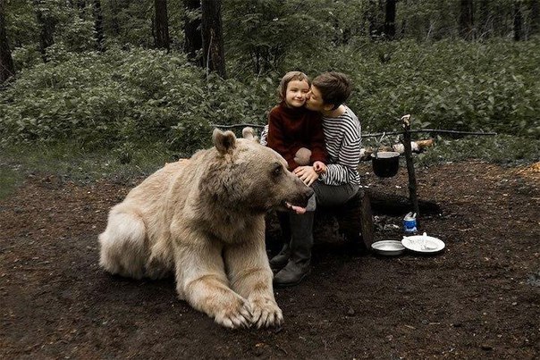 Медведь Степан стал героем новой фотосессии, пропагандирующей отказ от охоты