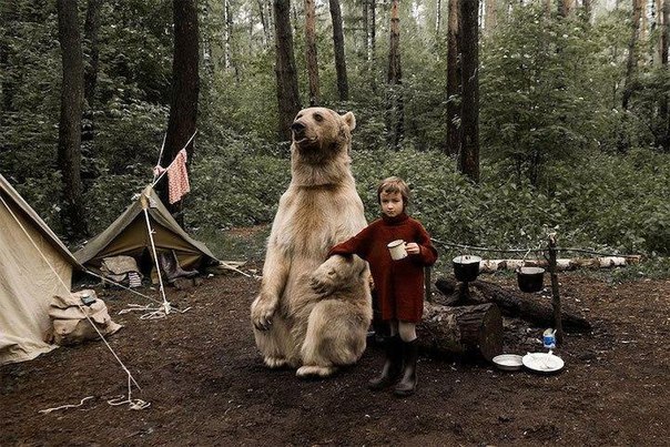 Медведь Степан стал героем новой фотосессии, пропагандирующей отказ от охоты