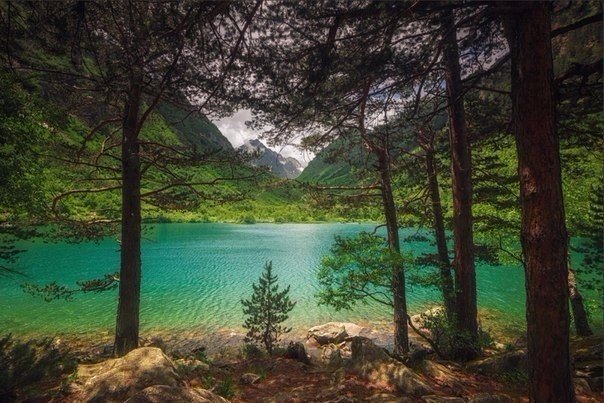 природа Кавказа